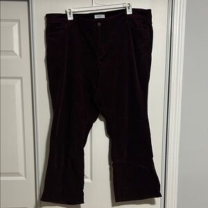 LOFT Women’s Corduroy Pants in Purple
